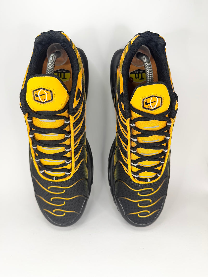 41 - Nike Air Max Plus Black & Sundial