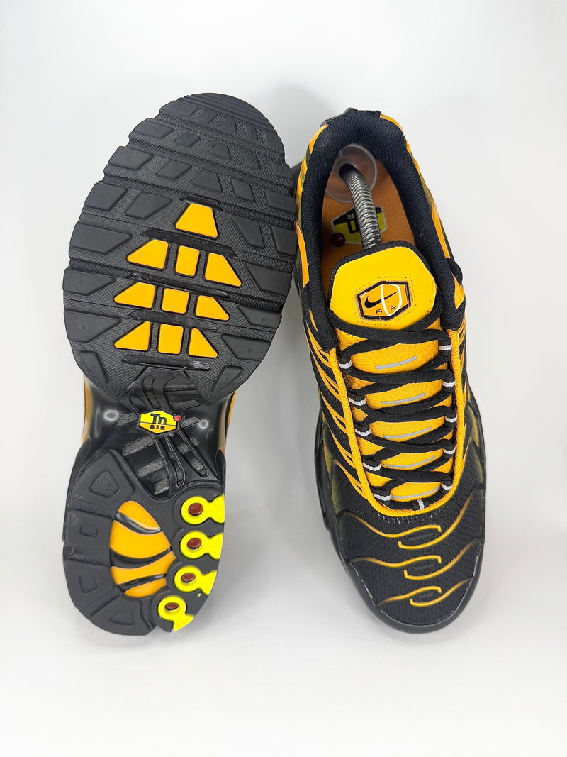 41 - Nike Air Max Plus Black & Sundial